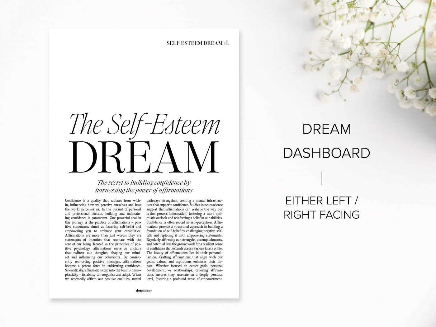 DOWNLOAD - MM08 - DREAM / AFFIRMATION - DASHBOARD DUO