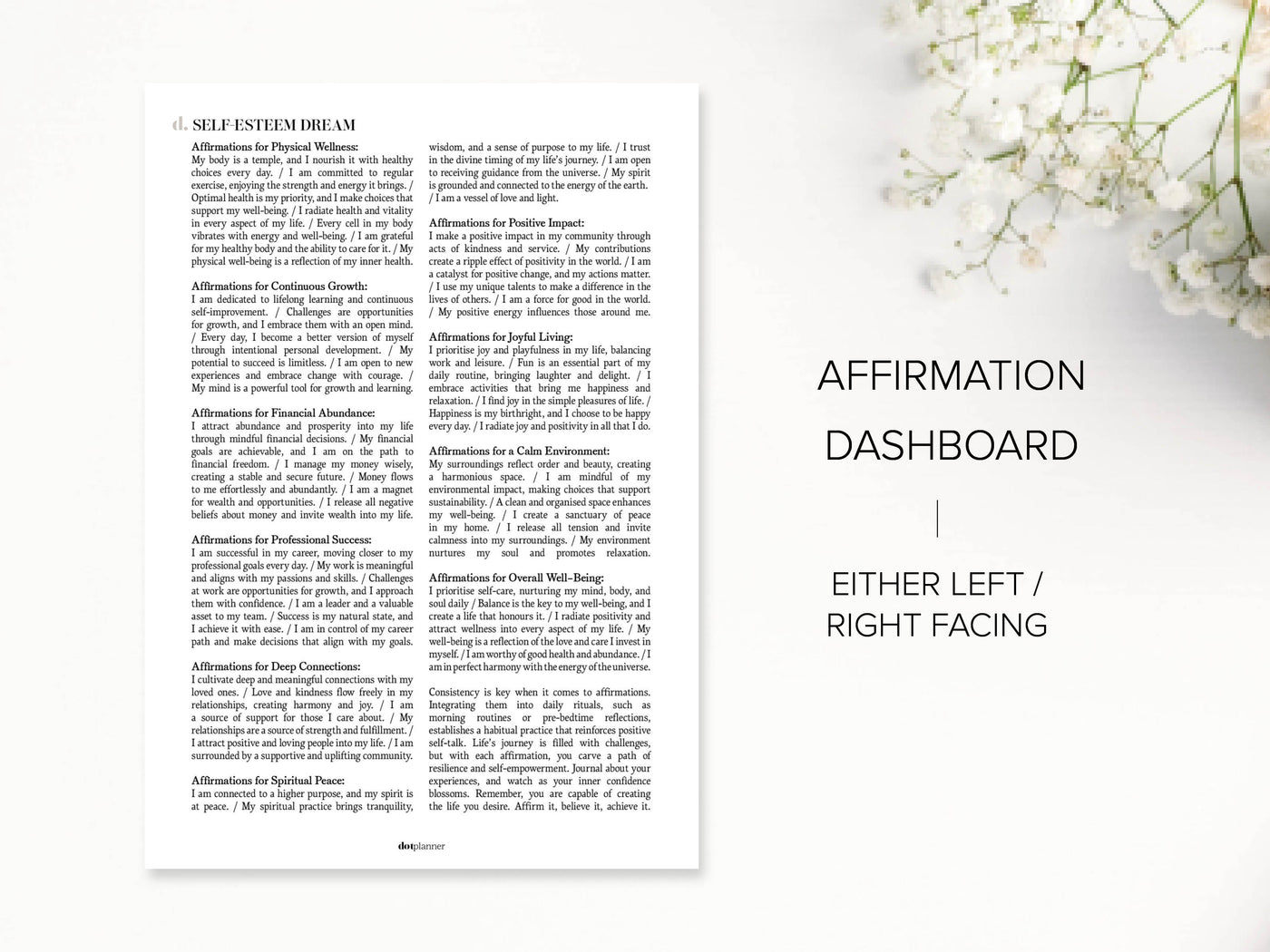 DOWNLOAD - MM08 - DREAM / AFFIRMATION - DASHBOARD DUO