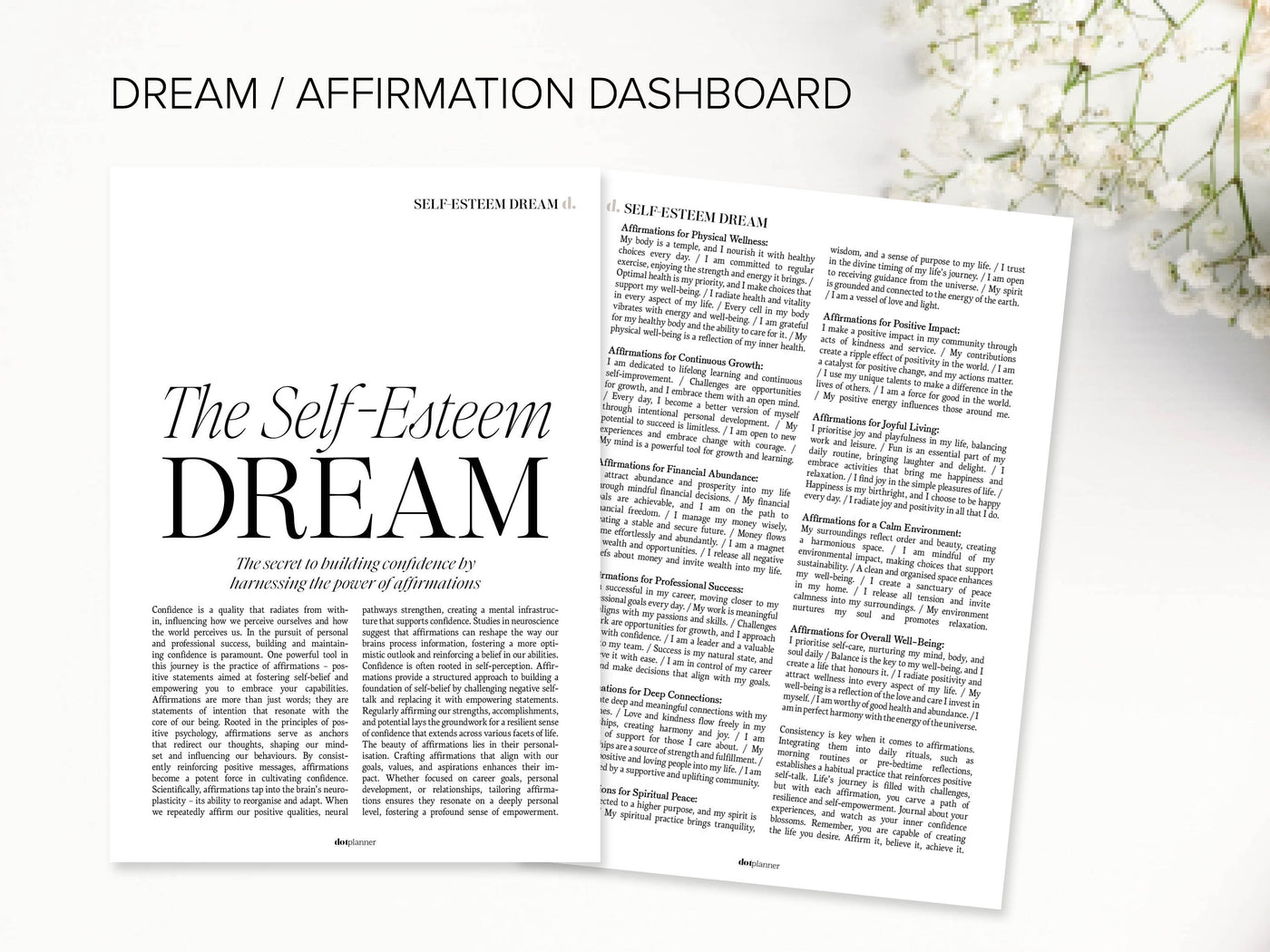 DOWNLOAD - MM08 - DREAM / AFFIRMATION - DASHBOARD DUO