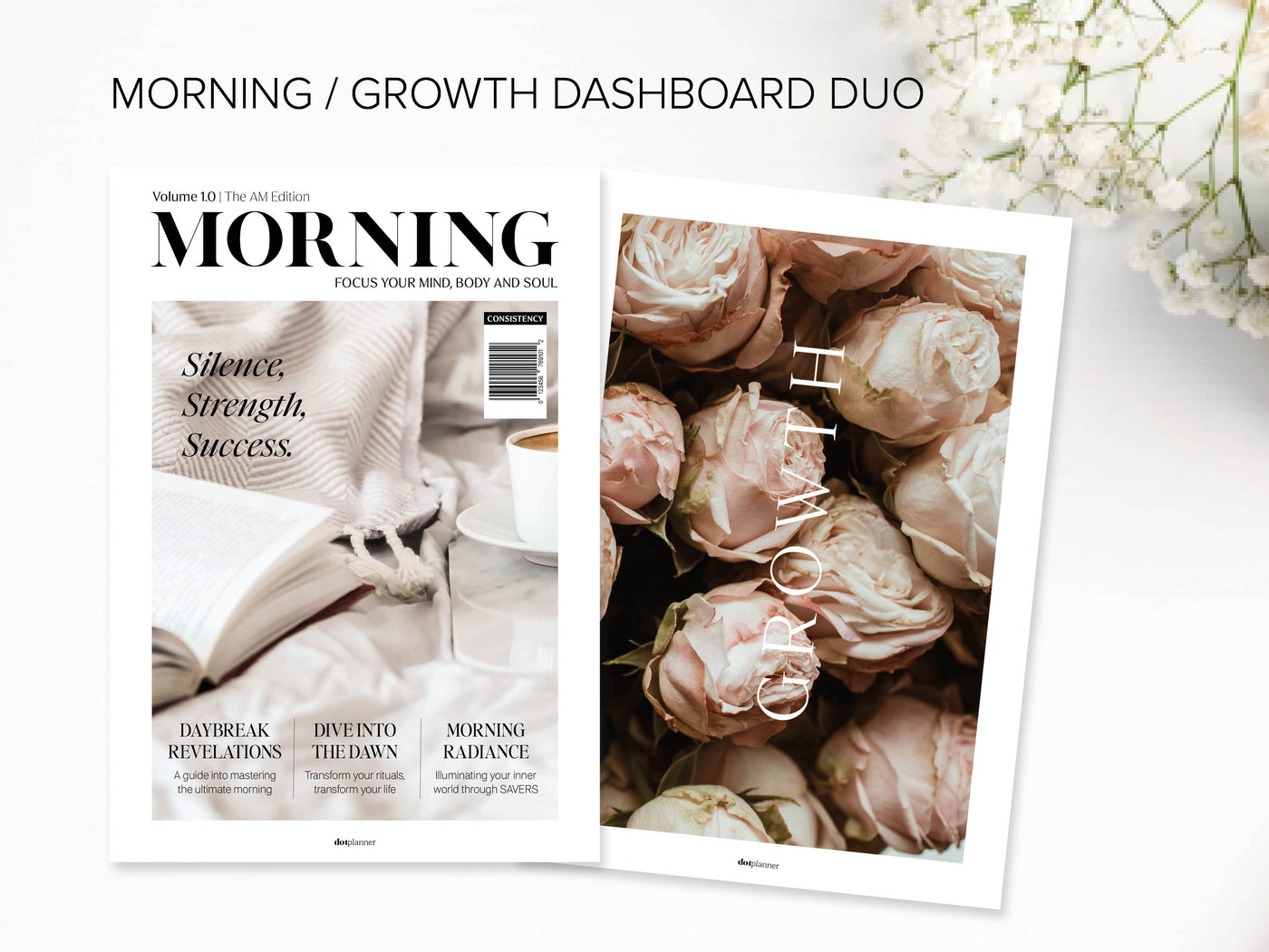 DOWNLOAD - MM01 - MORNING / GROWTH - DASHBOARD DUO