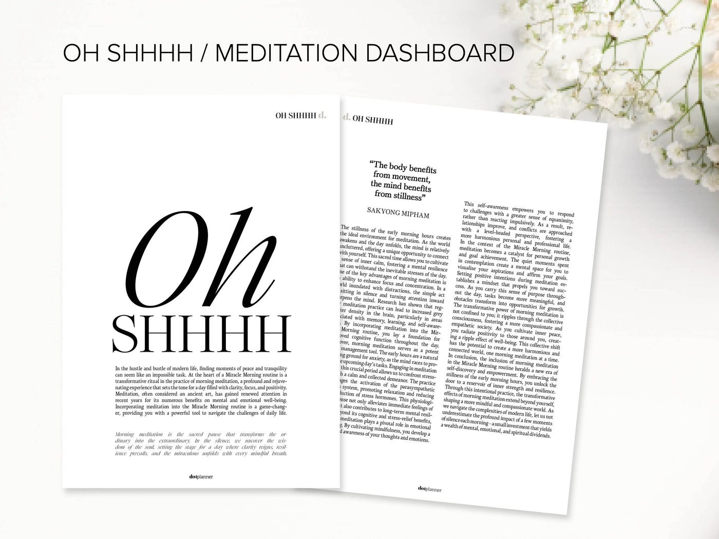 DOWNLOAD - MM06 - OH SHHHH / MEDITATION - DASHBOARD DUO